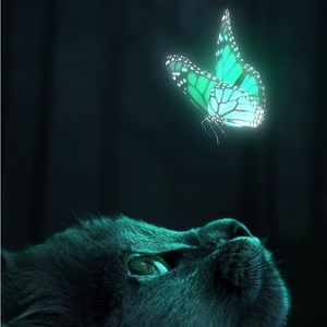 Meet your Posher, Fedline